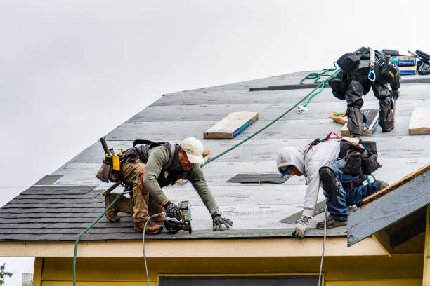 Professional Gutter Installation technician working in West Leyden, NY